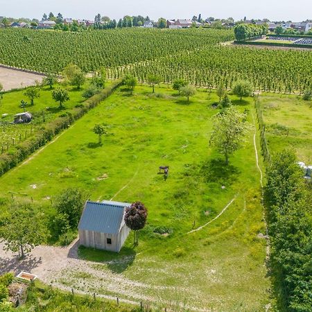 Kortenaken Unique Hideaway, Holiday House With Large Garden מראה חיצוני תמונה