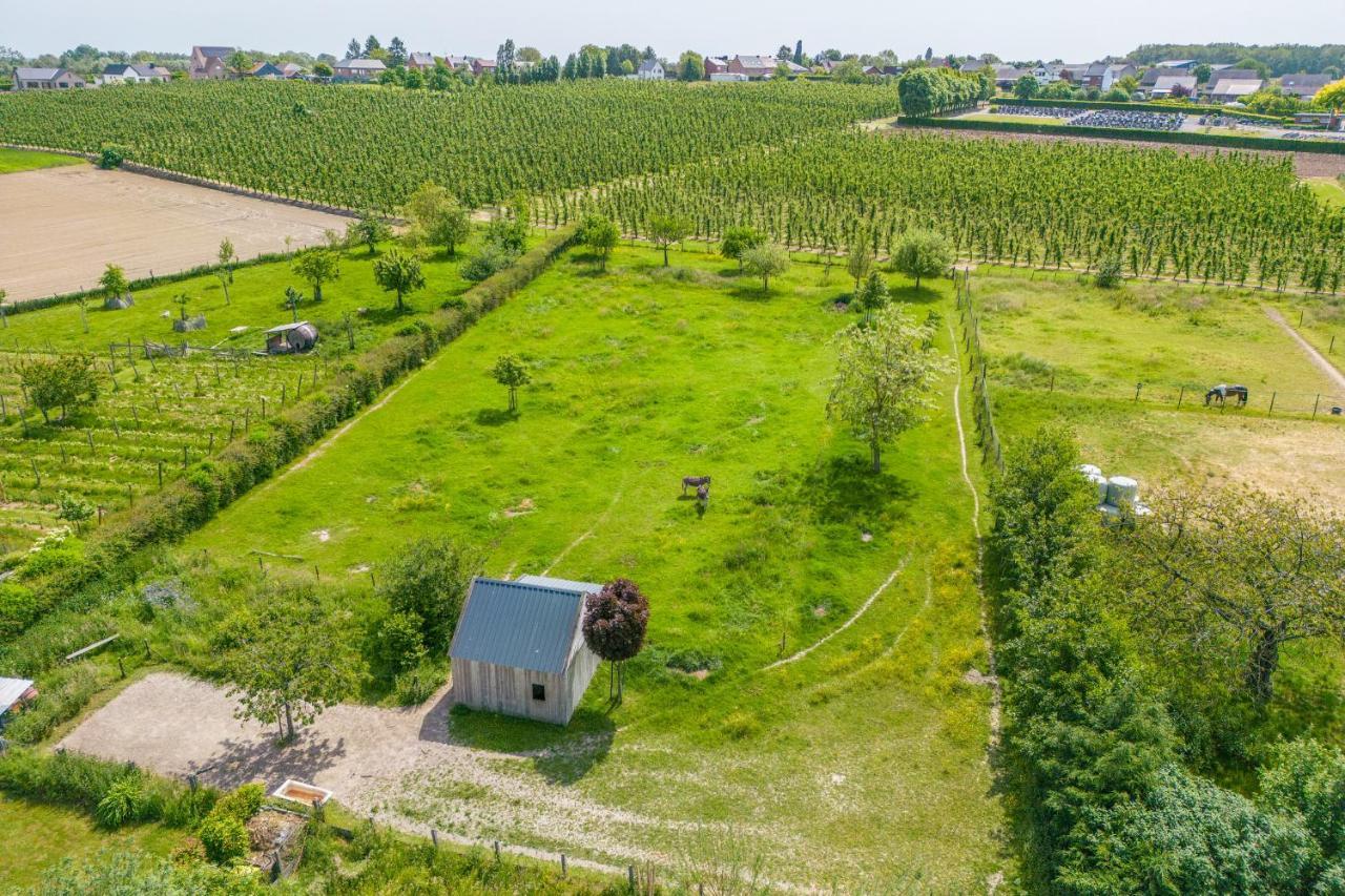 Kortenaken Unique Hideaway, Holiday House With Large Garden מראה חיצוני תמונה